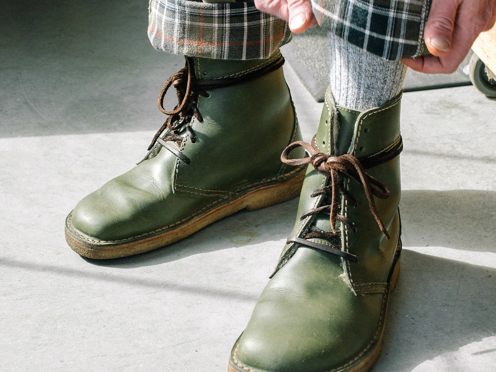 Odense Forest - Image 4